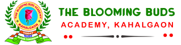 logo in The Blooming Buds Academy, Kahalgaon